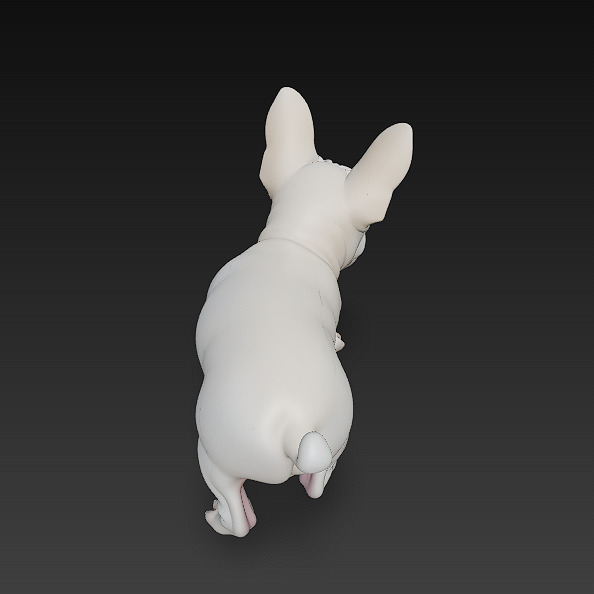 French Bulldog Puppy Dog Realistic 3D Model - Low Poly Realistic Low-poly 3D model_7