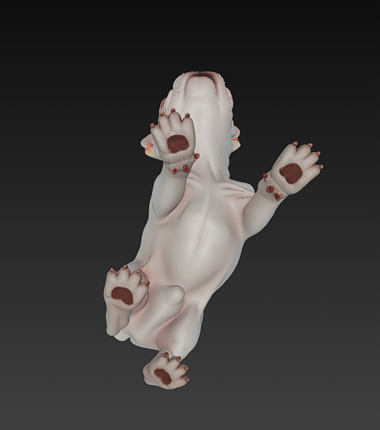 French Bulldog Puppy Dog Realistic 3D Model - Low Poly Realistic Low-poly 3D model_10