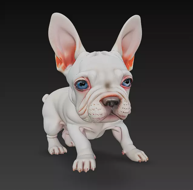 French Bulldog Puppy Dog Realistic 3D Model - Low Poly Realistic Low-poly 3D model_0