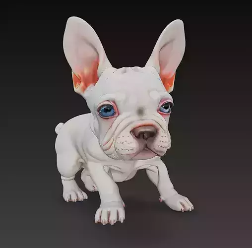 French Bulldog Puppy Dog Realistic 3D Model - Low Poly Realistic