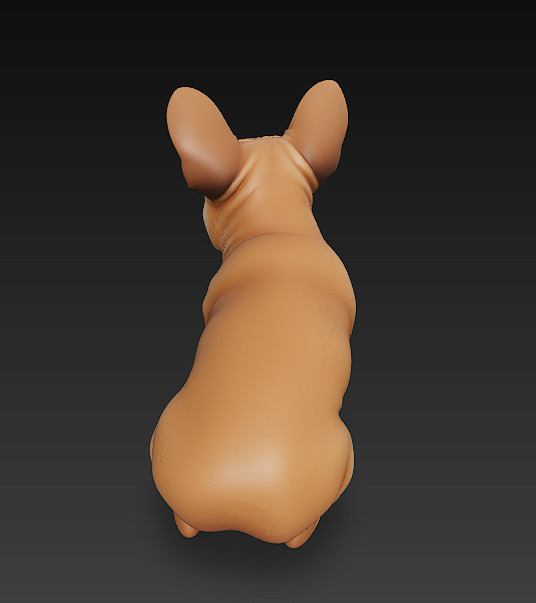 French Bulldog Brown Dog Realistic 3D Model - Low Poly Realistic Low-poly 3D model_6