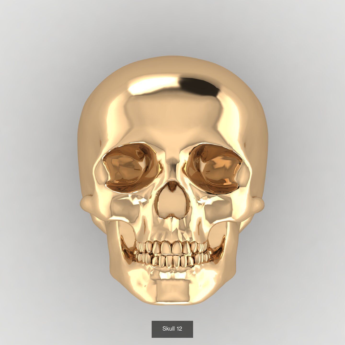 Skull Set 1 3D Model Collection_2