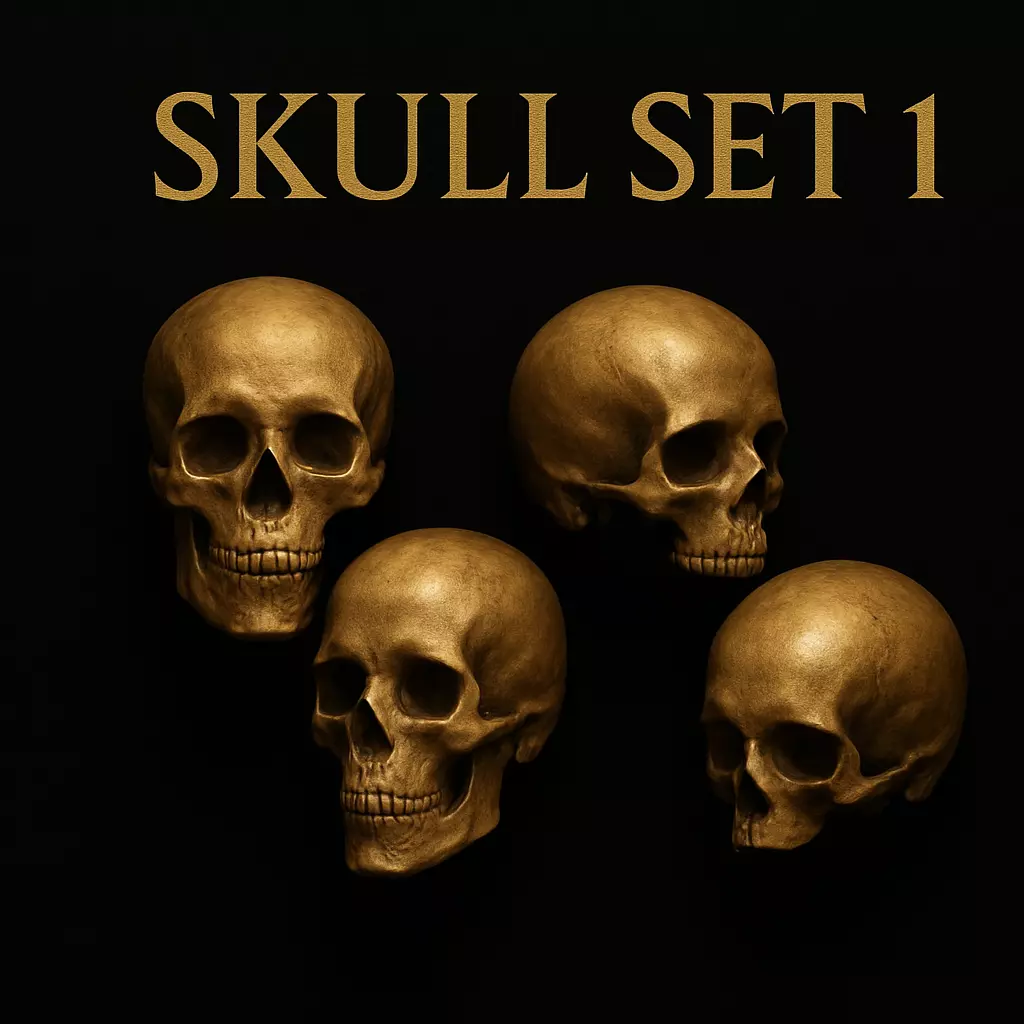 Skull Set 1 3D Model Collection_0