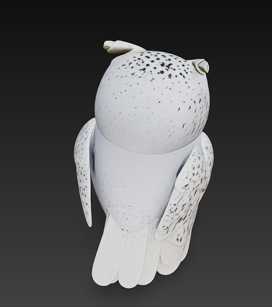 Owl White Realistic 3D Model - Low Poly Realistic Low-poly 3D model_5