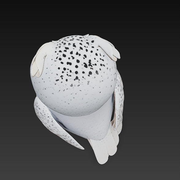 Owl White Realistic 3D Model - Low Poly Realistic Low-poly 3D model_8