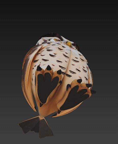 Owl Realistic 3D Model - Low Poly Realistic Low-poly 3D model_11