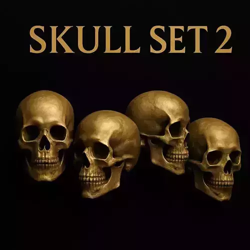 Skull Set 2 3D Model Collection