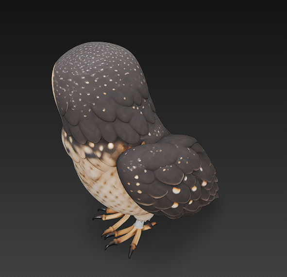 Owl Wild Realistic 3D Model - Low Poly Realistic Low-poly 3D model_5