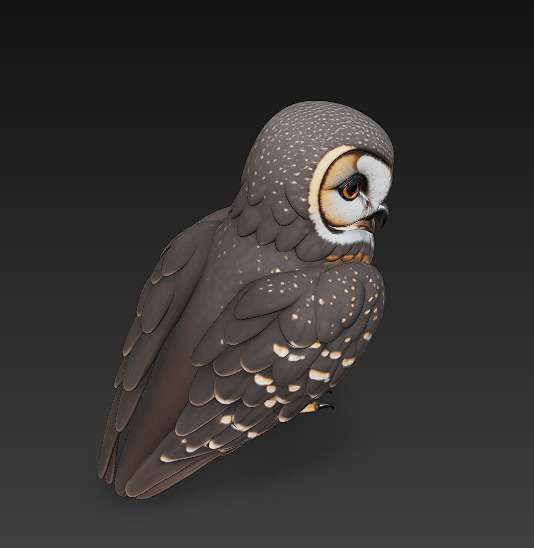 Owl Wild Realistic 3D Model - Low Poly Realistic Low-poly 3D model_2