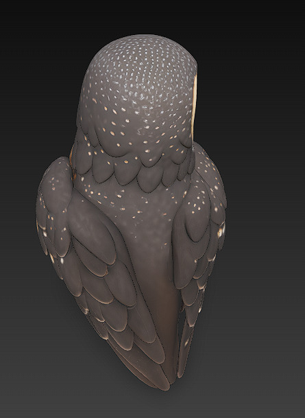 Owl Wild Realistic 3D Model - Low Poly Realistic Low-poly 3D model_7