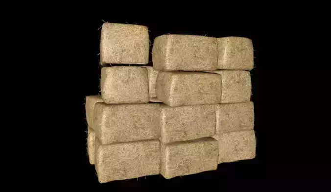 HAY 6 - 3D -FBX