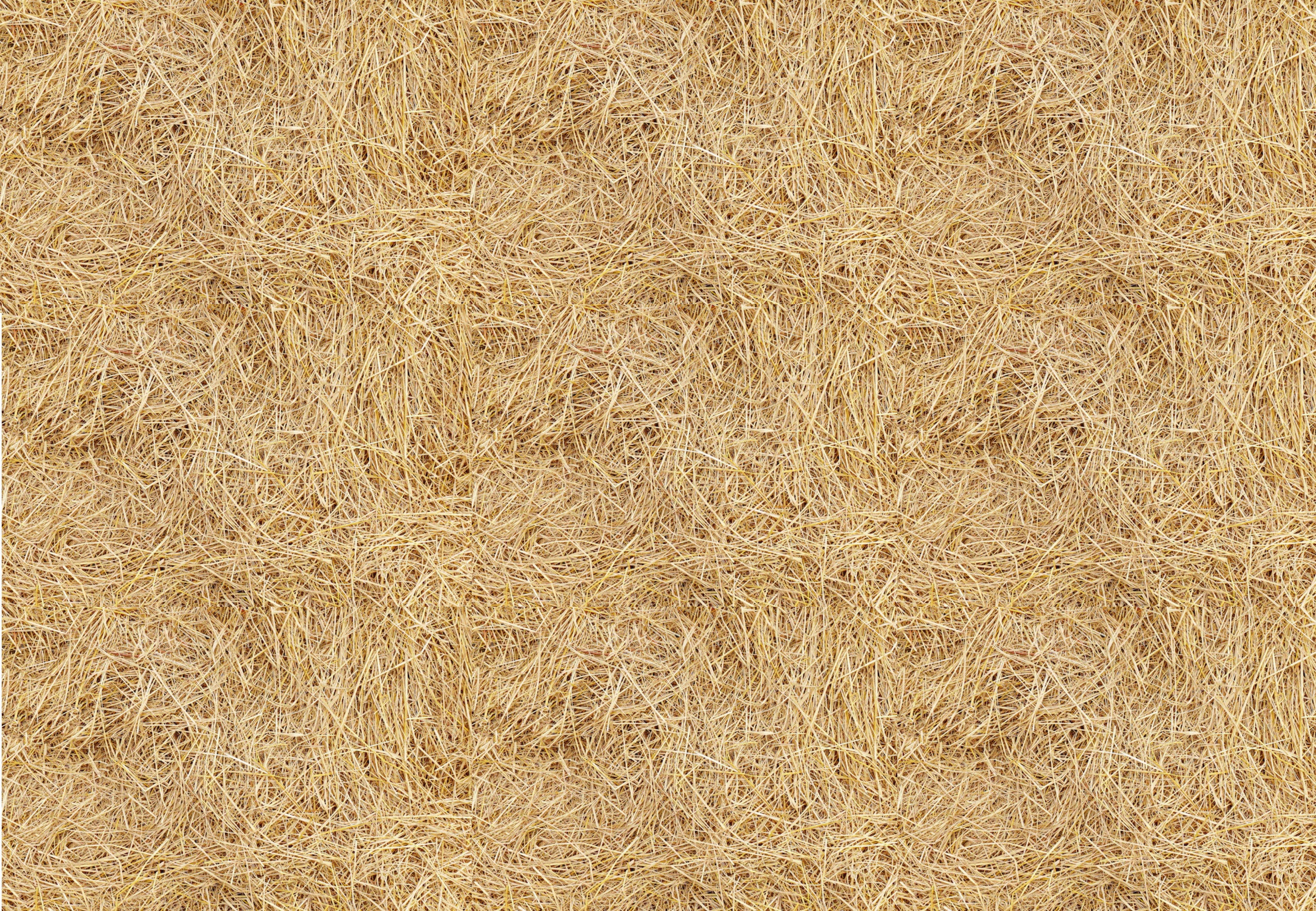 HAY 8 - 3D - FBX 3D model_1