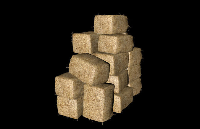 HAY 8 - 3D - FBX 3D model