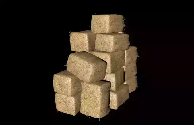 HAY 8 - 3D - FBX