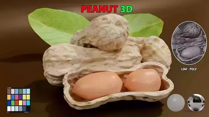 peanut  food 3D Low-poly 3D model