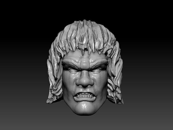 Hulk Lou Ferrigno Head Marvel Legends Action Figure 3D print model