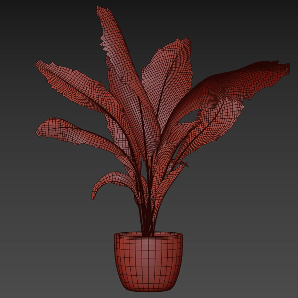 indoor plant 025 3D model_4