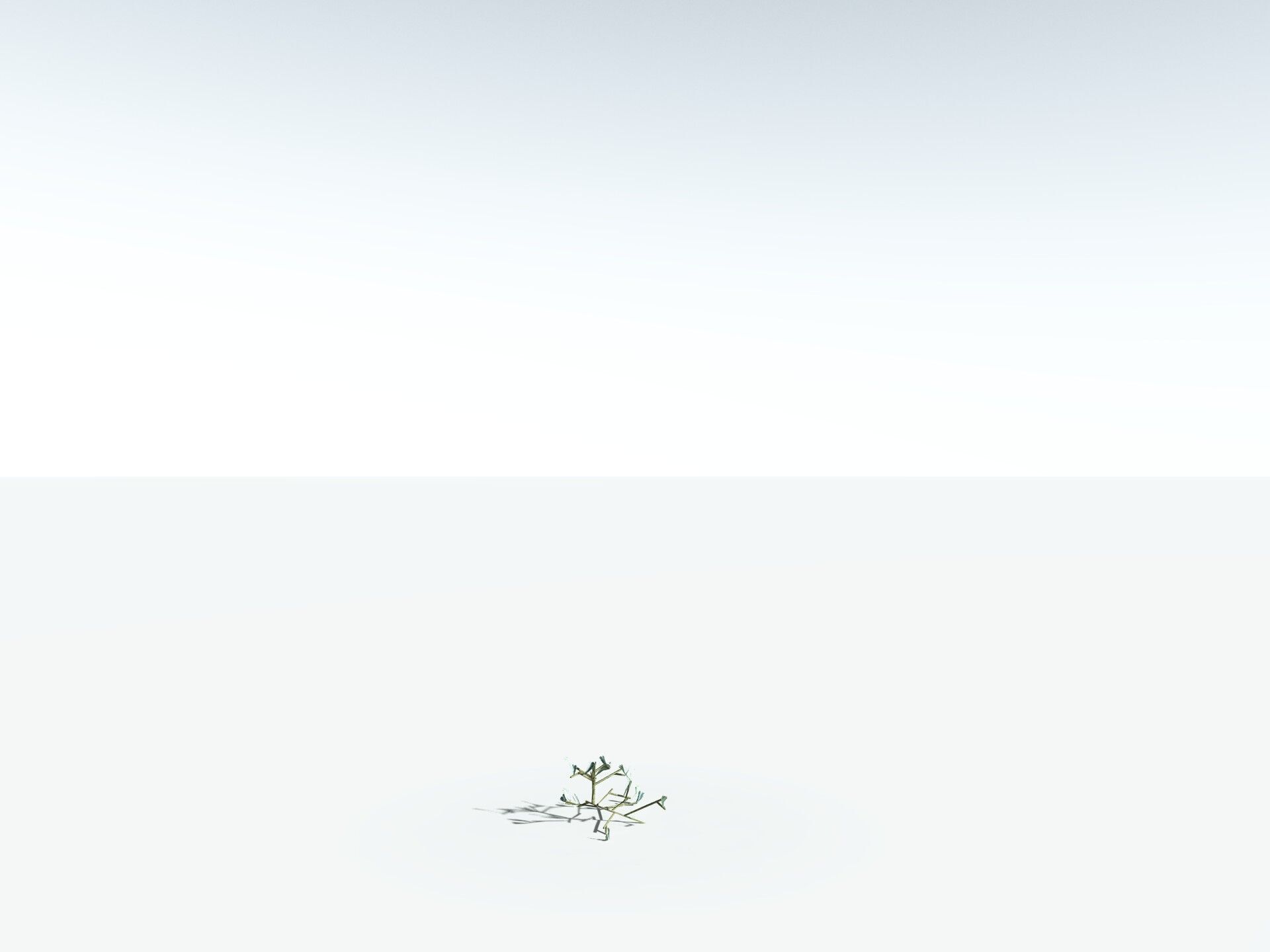 EVERYPlant Basin Sagebrush 3D model_35