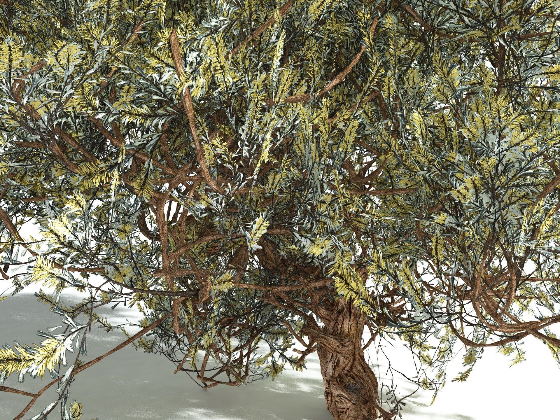 EVERYPlant Basin Sagebrush 3D model_11