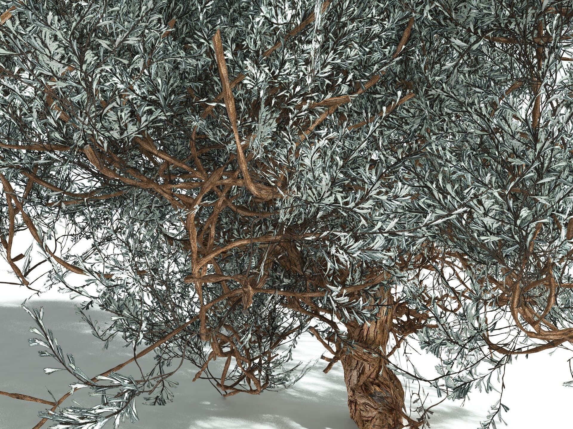 EVERYPlant Basin Sagebrush 3D model_1