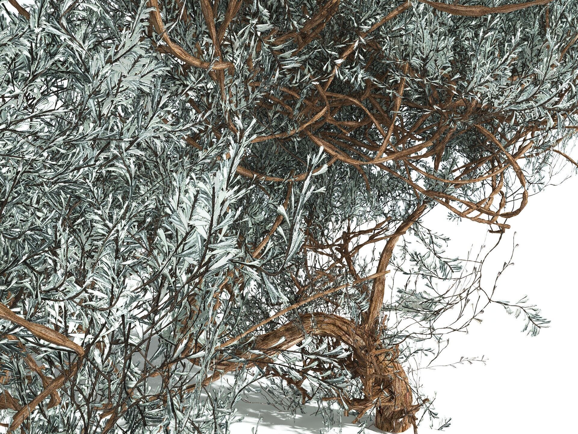 EVERYPlant Basin Sagebrush 3D model_3