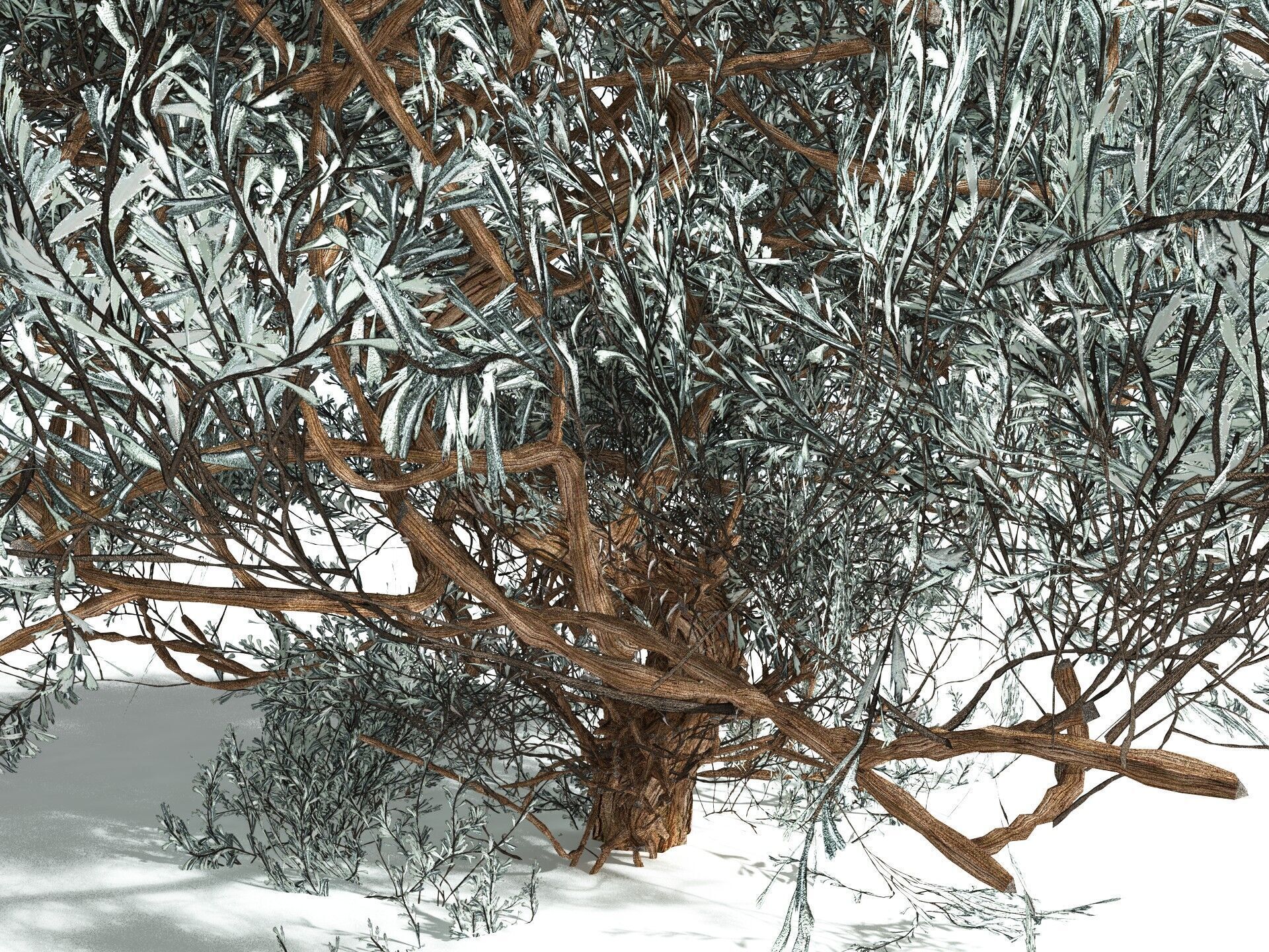 EVERYPlant Basin Sagebrush 3D model_27