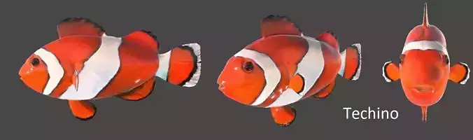 Realistic Clown Fish Rigged