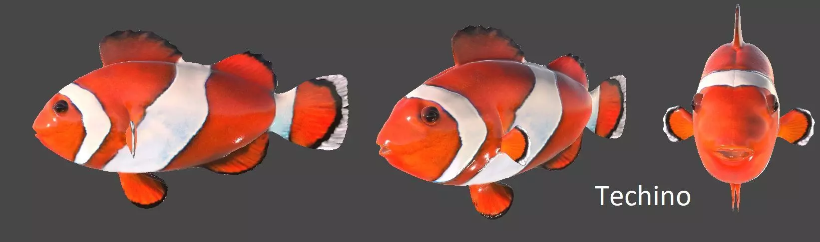 Realistic Clown Fish Rigged 3D model_0