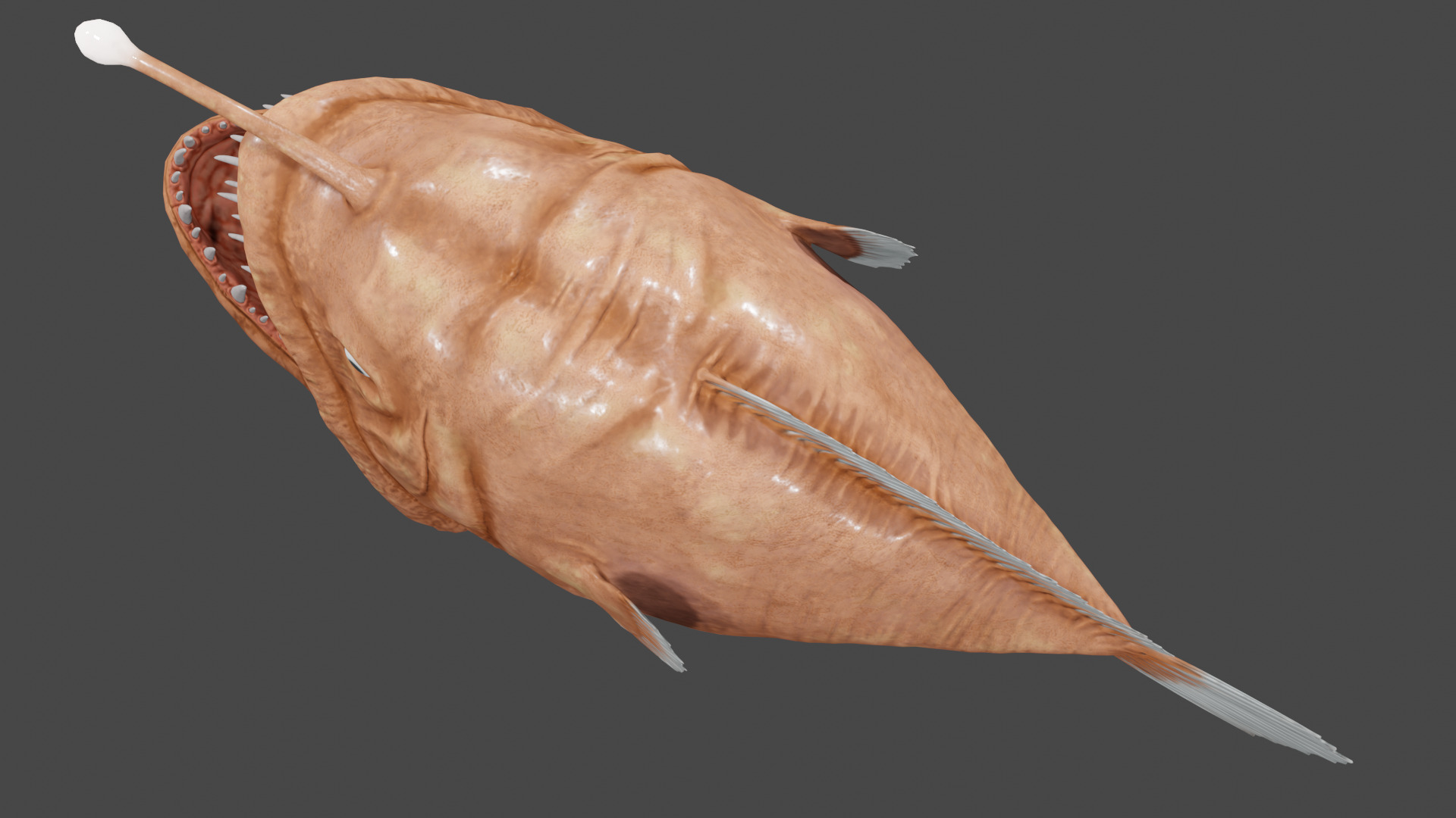 Angler Fish  3D model_7