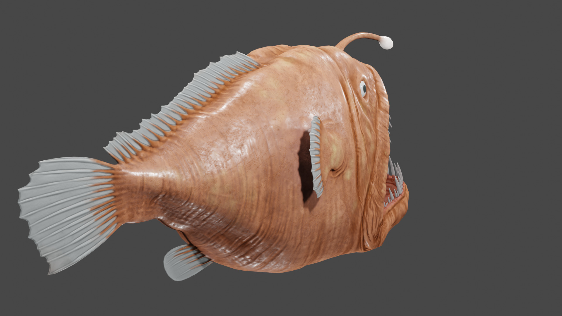 Angler Fish  3D model_4
