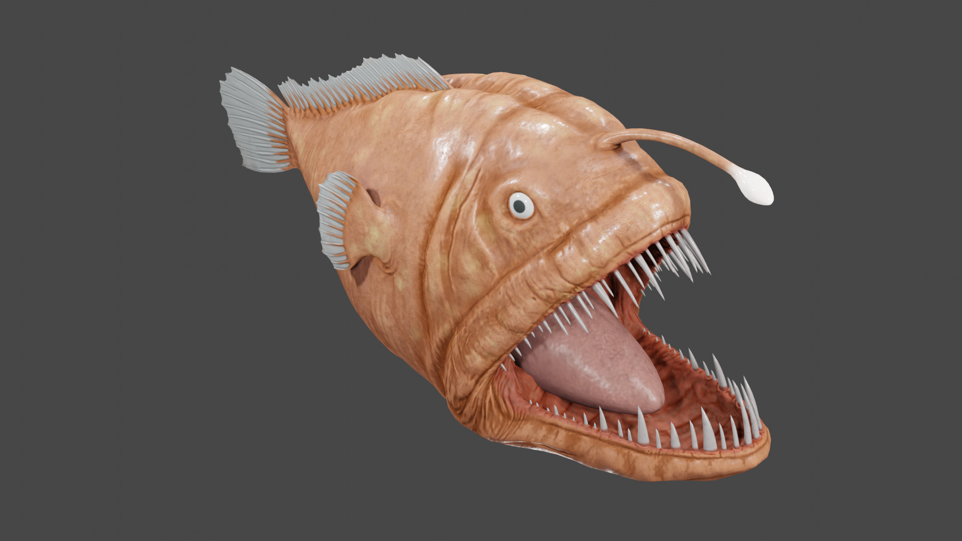 Angler Fish  3D model_1
