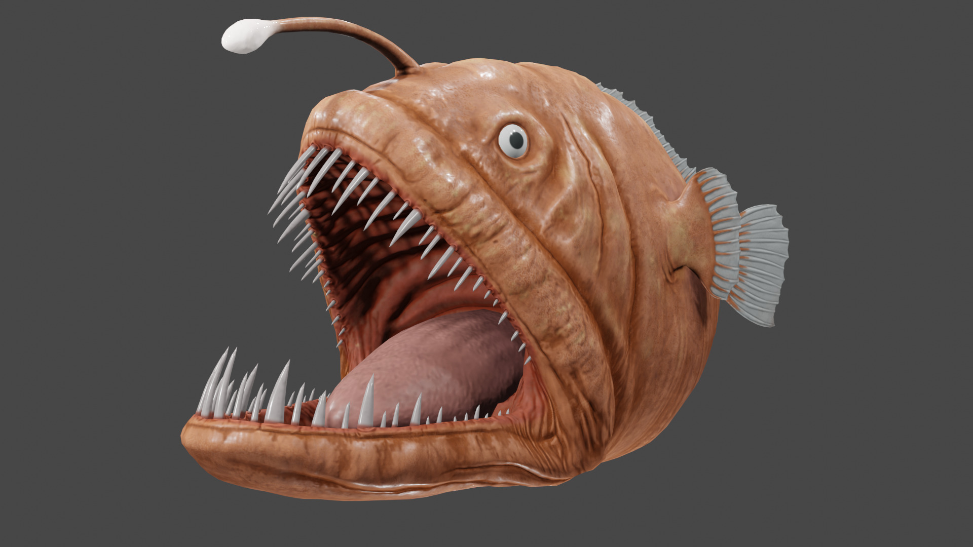 Angler Fish  3D model_8