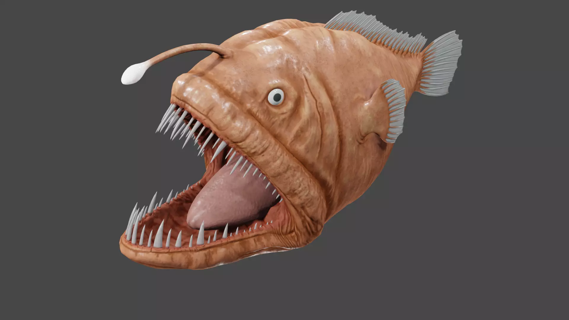 Angler Fish  3D model_0