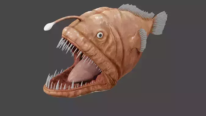 Angler Fish  3D model