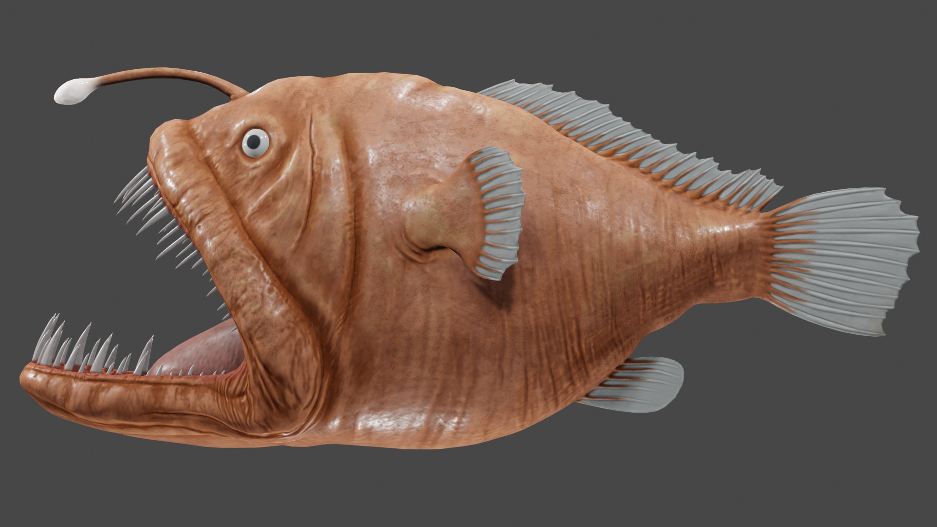Angler Fish  3D model_6