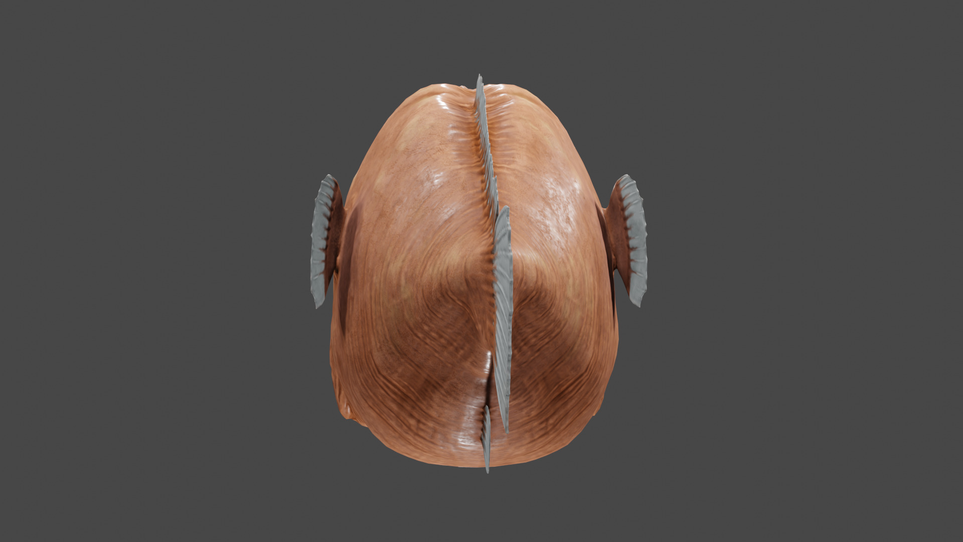 Angler Fish  3D model_3