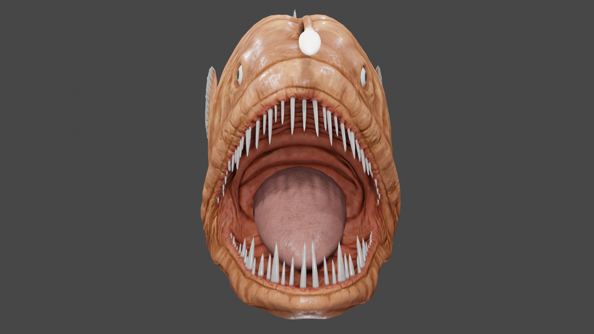 Angler Fish  3D model_2