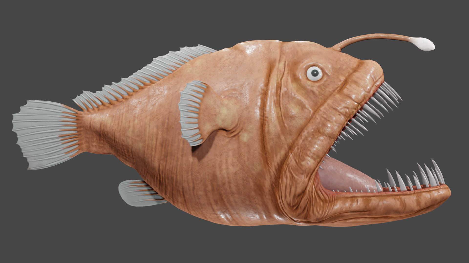 Angler Fish  3D model_5