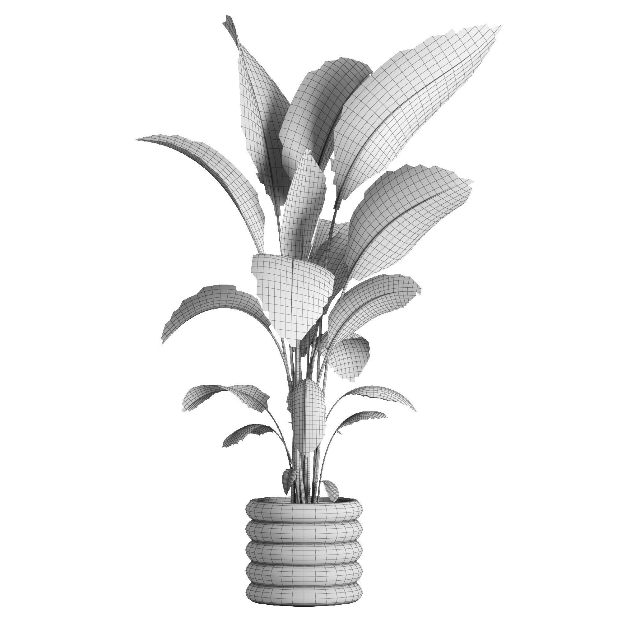 indoor plant 033 3D model_4