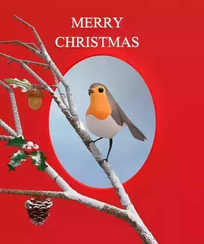 Robin Bird - Christmas Card - Basic 3 Poses - XMas Props