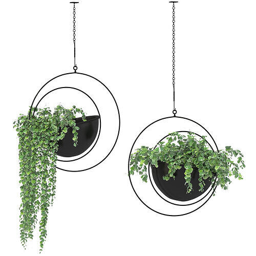 Metal Hanging Plants 03 3D model