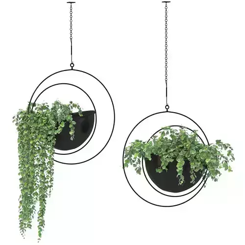 Metal Hanging Plants 03