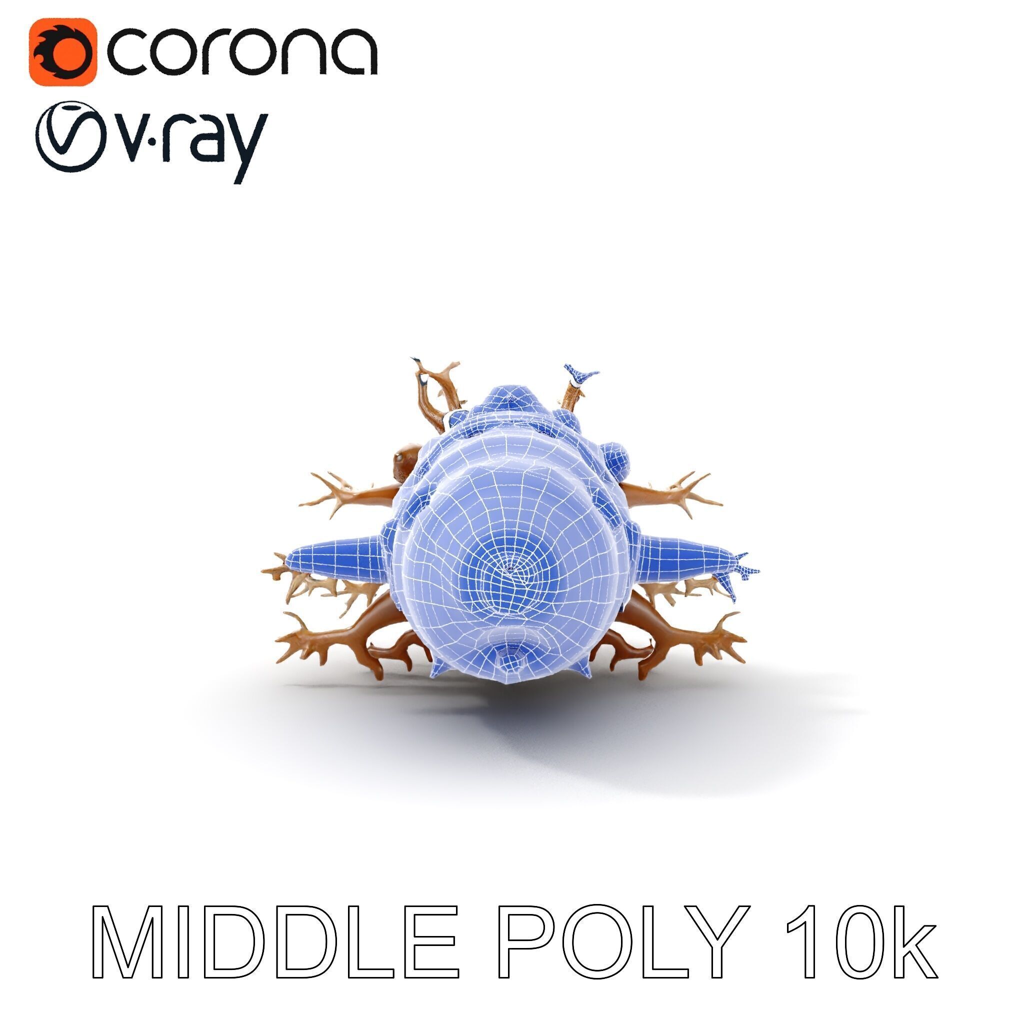 Alien Vessel model pack with organic structure Low-poly 3D model_6