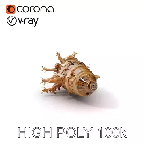 Alien Vessel model pack with organic structure