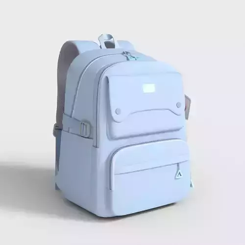 SCHOOL BACKPACK