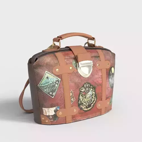 HARRY POTTER RAILWAY POUCH