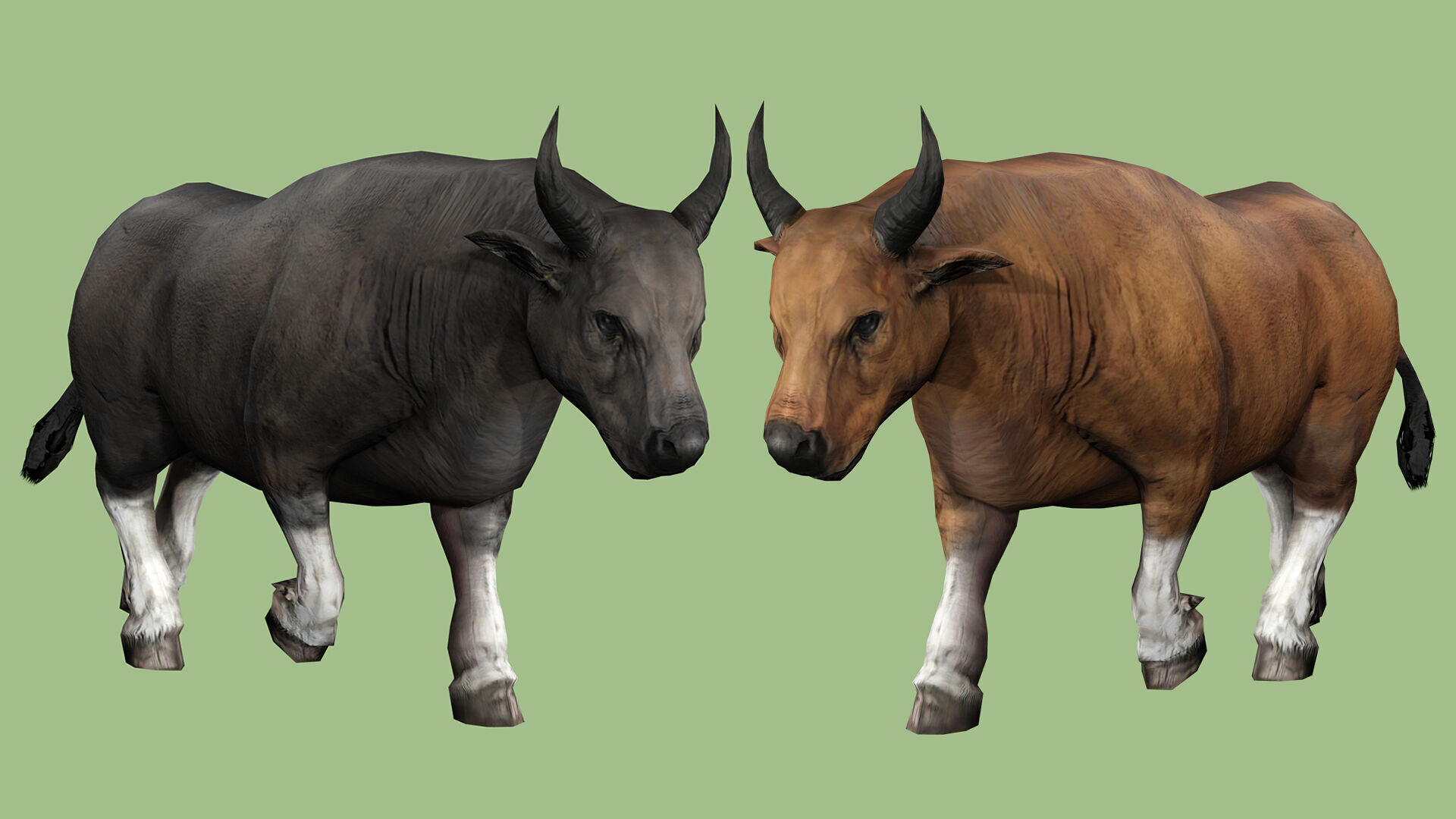 COW ANIMATED 4 COLORS 2 Low-poly 3D model_1