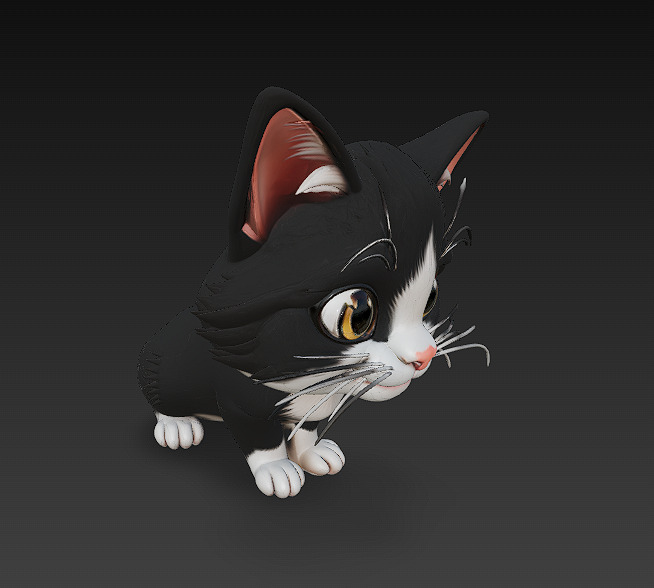 Cat Kitten Realistic 3D Model Basic - Low Poly Realistic Low-poly 3D model_2