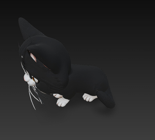 Cat Kitten Realistic 3D Model Basic - Low Poly Realistic Low-poly 3D model_5