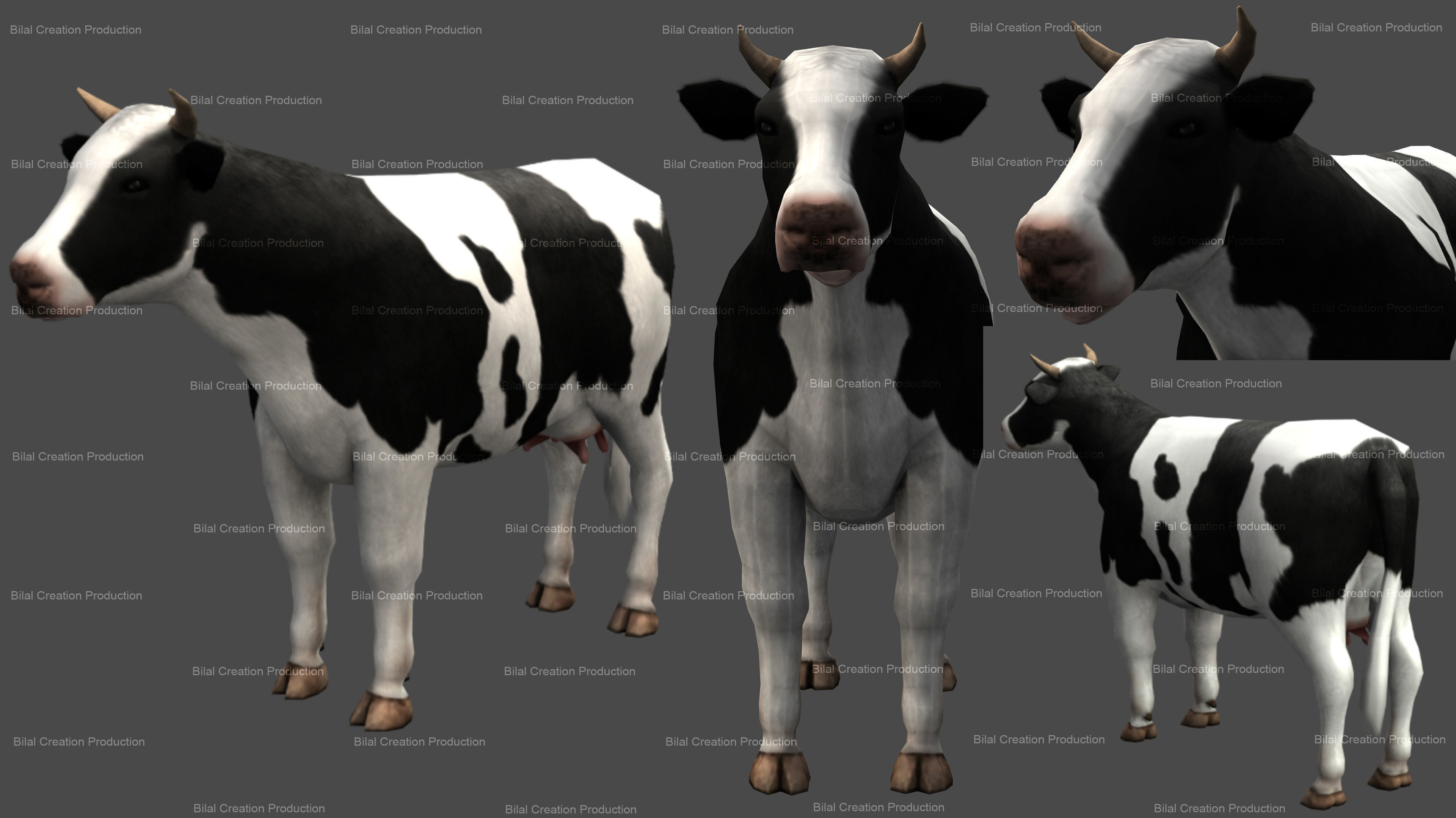 QURBANI ANIMATED ANIMALS 9 3D Model Collection_6